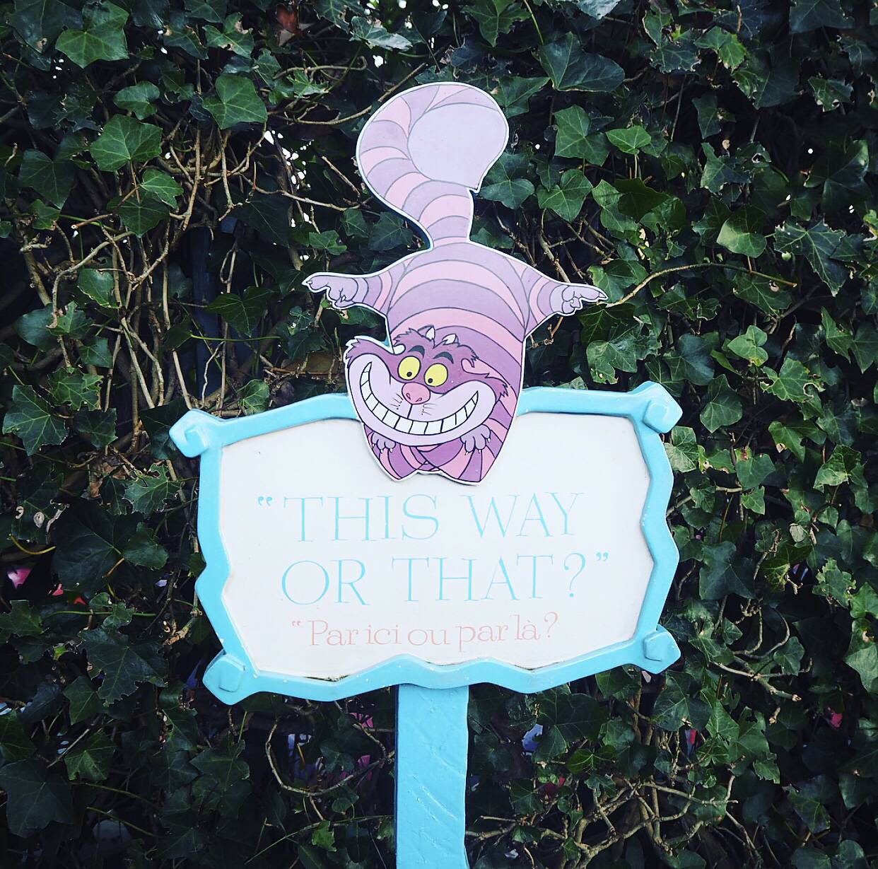 Disneyland Paris at Christmas