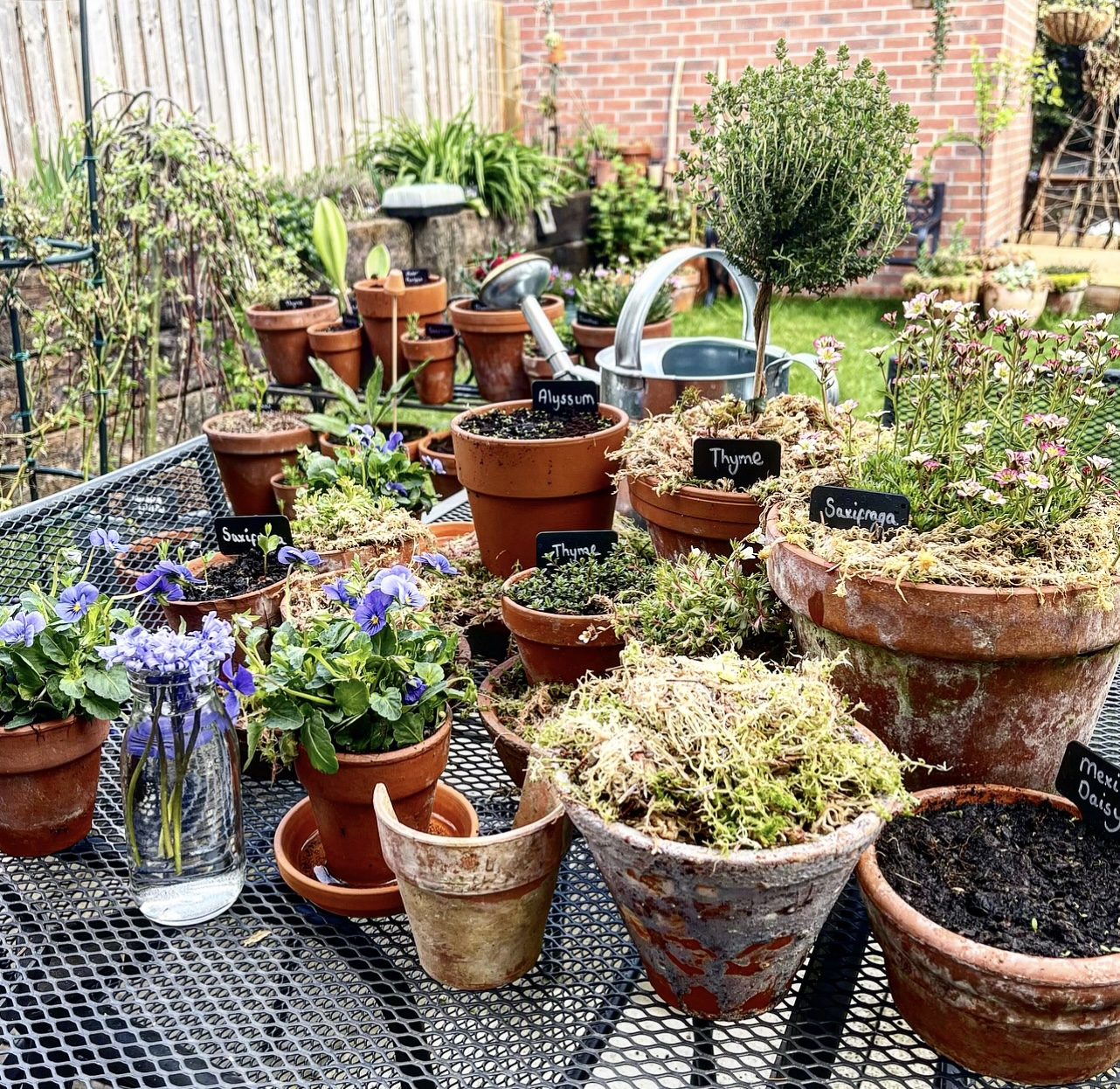 A Vintage Terracotta Pot Obsession