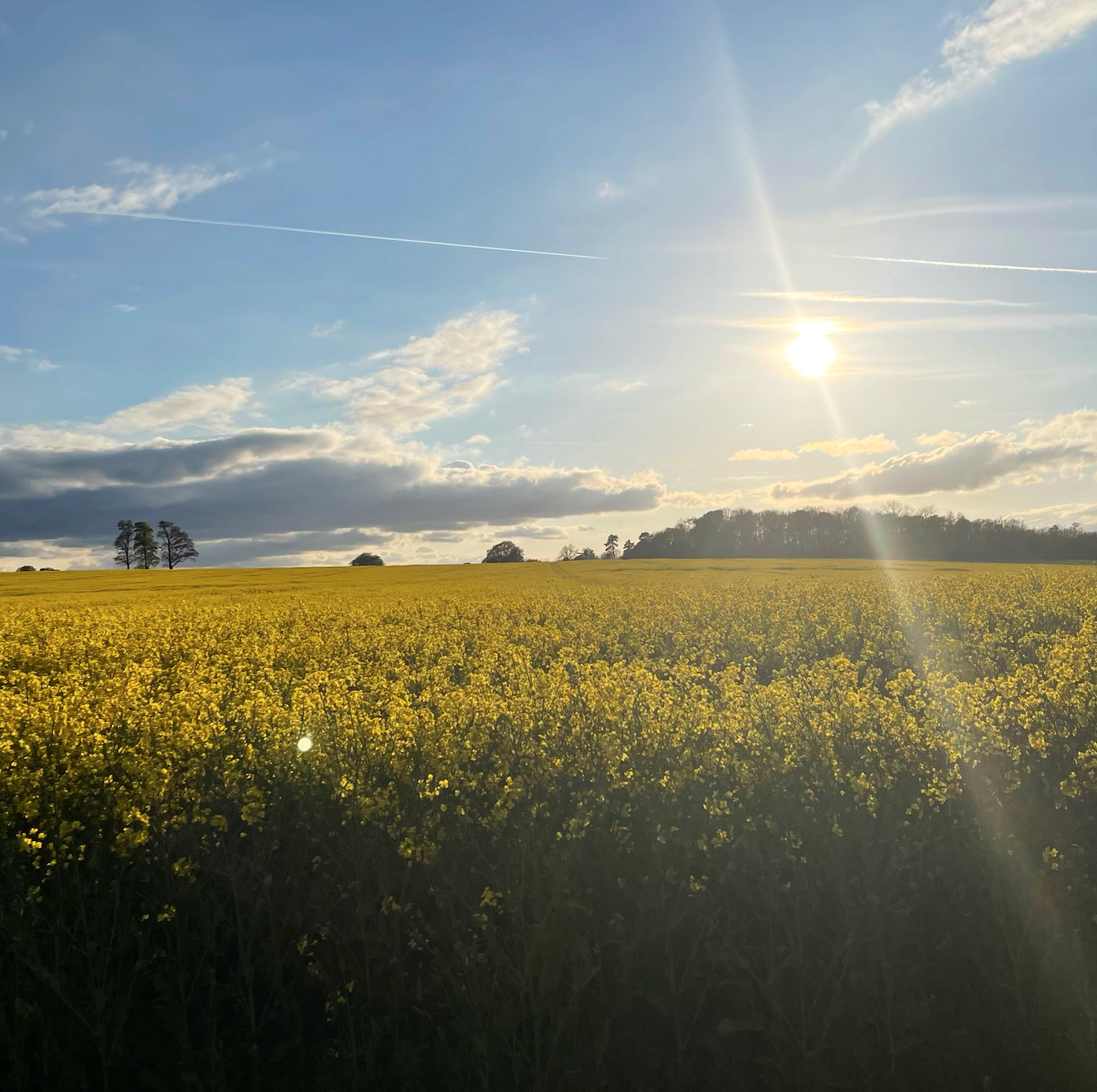 Five Happy Things I’ve Done Recently That Cost Less Than Ten Pounds