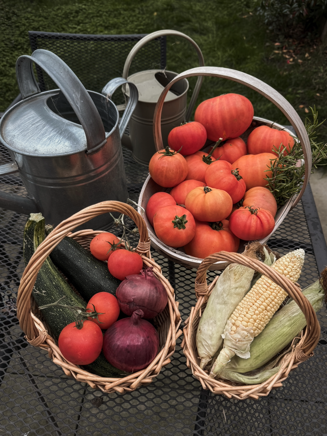 Autumn Allotment Jobs – Closing Down for the Season